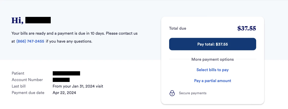 Screenshot of the digital bill. The guarantor name and meta data are on the left, and the payment information and CTA are boxed on the right.